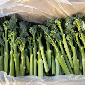 スティックセニョールor頂花蕾（カットブロッコリー）