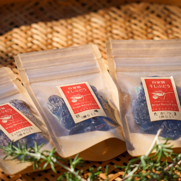 自家製干しぶどう（35g）3袋セット