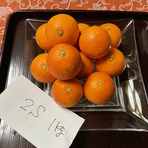ブラッドオレンジ(タロッコ)〜小粒訳あり無農薬自然肥料除草剤不使用