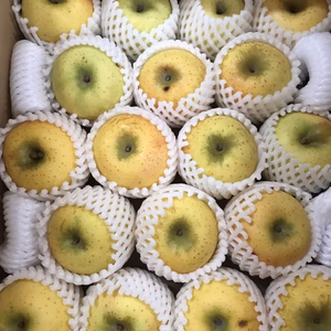 青森県産りんご「シナノゴールド」家庭用 キズ有 約5kg~ 【フルーツキャップ】