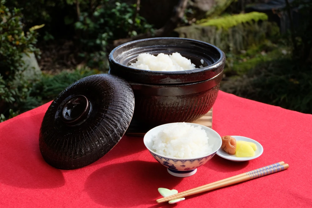 令和５年産 新米【 農薬不使用・化学肥料不使用 】特別栽培米 コシヒカリ 白米 