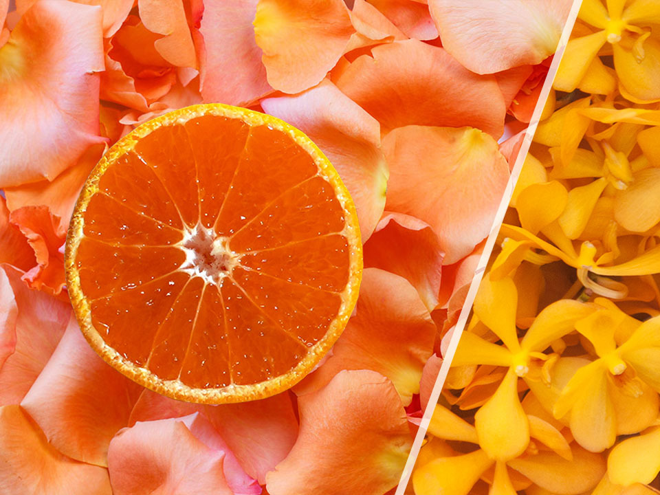 [温州みかん“かほる橘つ華"] 2kg(箱込み)