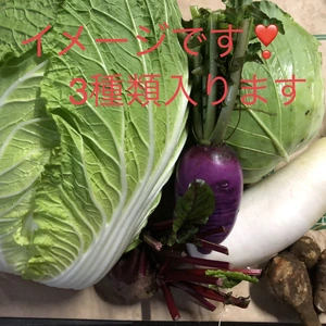 季節の野菜（秋冬バージョン）3種類セット