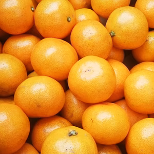 こつぶみかん 10kg: 甘味と酸味が調和したみかん