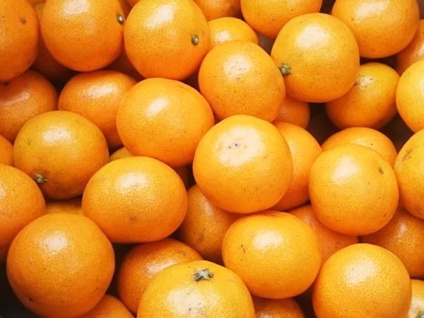 こつぶみかん 2kg: 甘味と酸味が調和したみかん