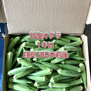 【鹿児島産】甘塩オクラ箱込み1キロ^_^