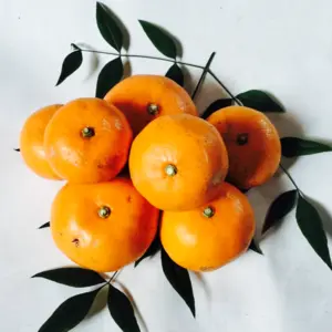 値下げ❣️規格外せとかno２ 〜酸味と甘み溢れる柑橘〜☆ 箱込4キロ