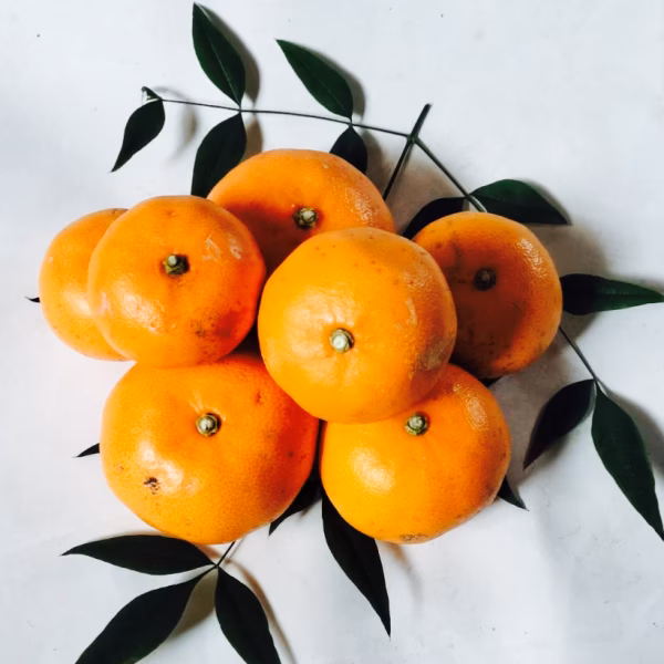 値下げ❣️規格外せとか 〜酸味と甘み溢れる柑橘〜☆ 箱込4キロ