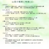 《予約受付》天然山菜5種以上詰合せB 800~900g以上 山形産