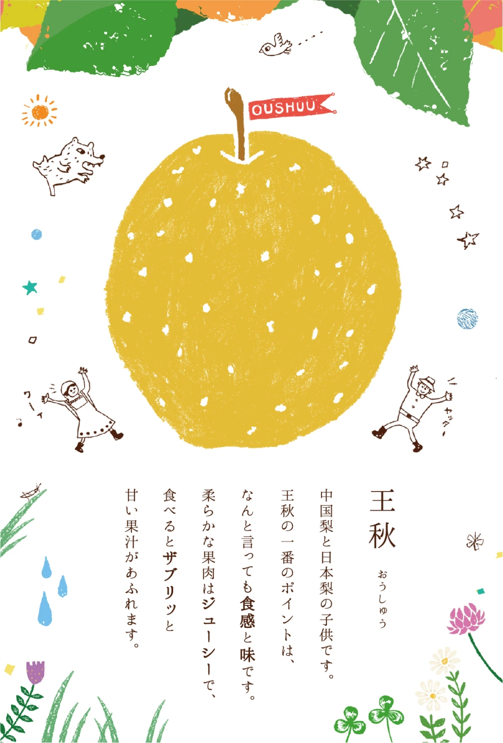 随時発送)鳥取産_王秋(おうしゅう)梨_2.5キロ箱(4-5玉入)×２箱ｾｯﾄ