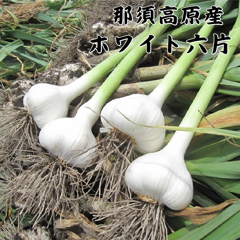 那須高原産 ホワイト六片 黒にんにく 200ｇ×2袋