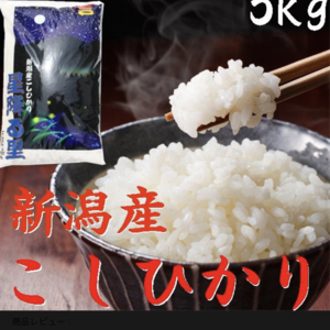 コシヒカリ&つきあかり&こしいぶき(白米) 三点セット 令和二年産