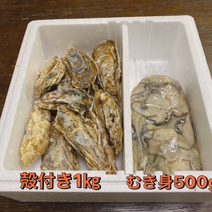 お値下げ❗️❗️からつき、剥き身セット