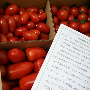 トマト2種詰め合わせ3ｋｇミニトマト＆ロッソナポリタン