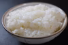 【新米/白米】精米したてをお届け！おかわりしたくなるおいしいごはん