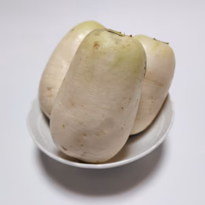 おろしそばに最適! 福井県産 辛味大根(品種名:旭山) 4kg