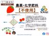 無農薬いちご(定植後農薬不使用)紅ほっぺ