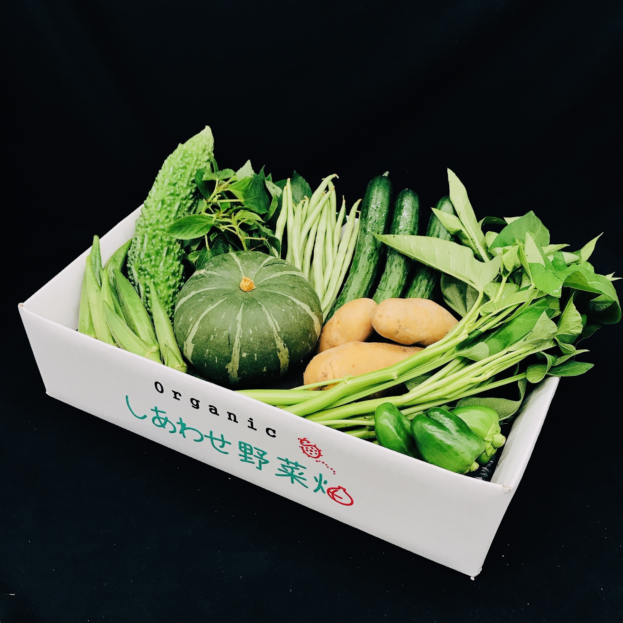 ⭐︎有機野菜　12品お野菜セット⭐︎有機JAS認証 有機JAS認証 有機野菜 定期便 オーガニック 野菜セット｜野菜