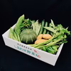 有機JAS認証　有機野菜　定期便　オーガニック 野菜セット