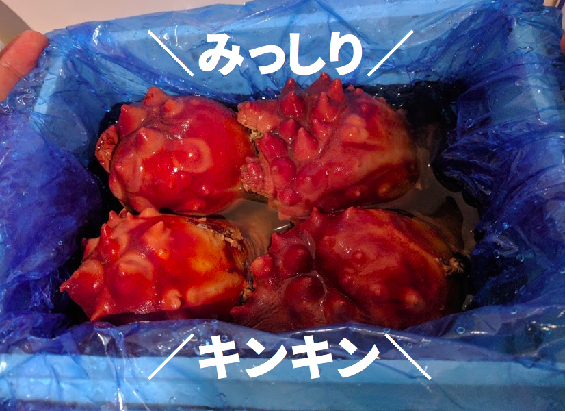 ホヤの簡単さばき方と漁師おすすめの食べ方 本当のホヤの美味しさを知ってほしい 農家漁師から産地直送の通販 ポケットマルシェ
