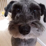 ゆり☆そうまま