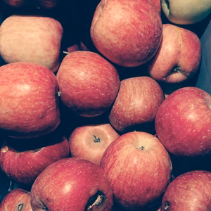 ※多い方がお買い得※ジャム、スムージー、コンポートに早生ふじ(りんご)