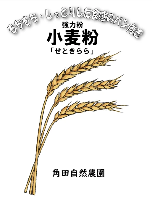 小麦粉（強力粉・精麦製粉タイプ）