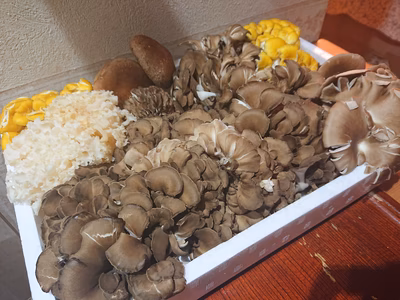 みんなの投稿の画像