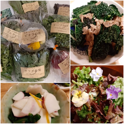 みんなの投稿の画像