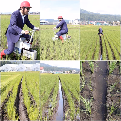 みんなの投稿の画像