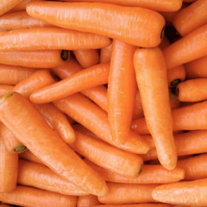 【箱の重さを含む】農薬・化学肥料不使用　無選別にんじん　