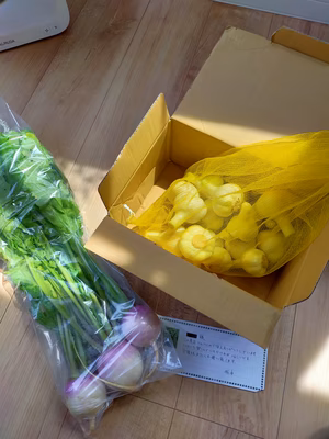 みんなの投稿の画像