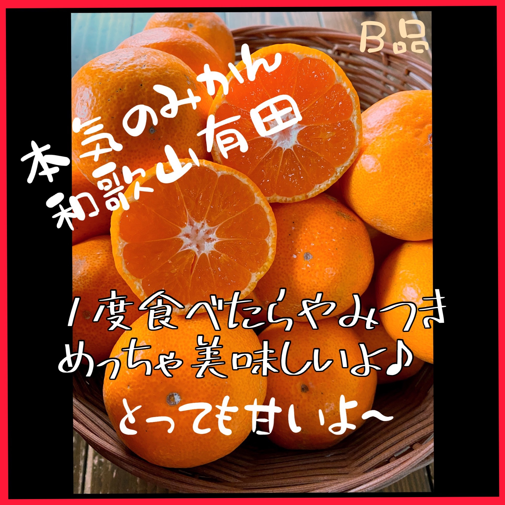 国内最安値 ＊13＊数量限定 甘すぎる 有田みかん 果物 中生の通販 小玉