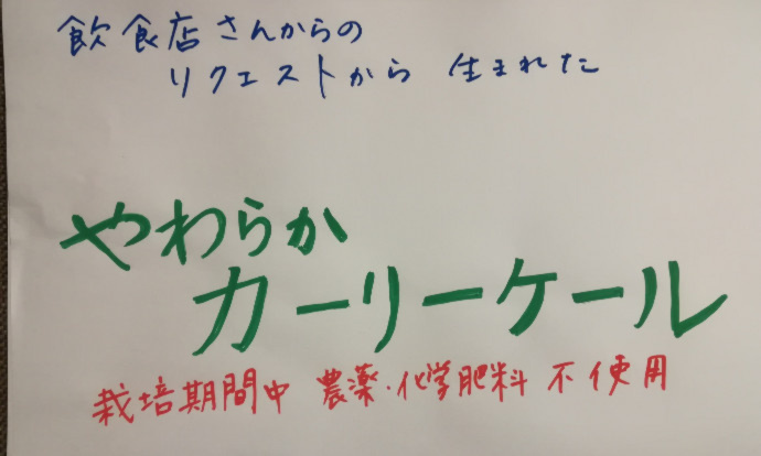 柔らかく甘い カーリーケール 農家漁師から産地直送の通販 ポケットマルシェ