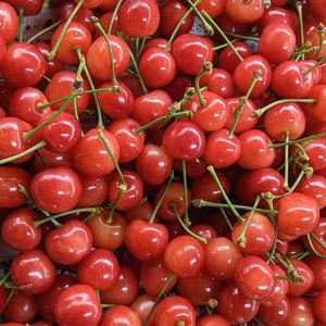 さくらんぼ佐藤錦バラ詰め