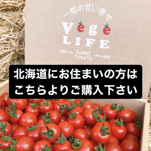 北海道にお住まいの方ご購入画面　甘くて濃厚ミニトマト