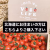 北海道にお住まいの方ご購入画面　甘くて濃厚ミニトマト