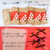 【送料無料】クリスマス限定プチギフト キット《紅茶》×５セット