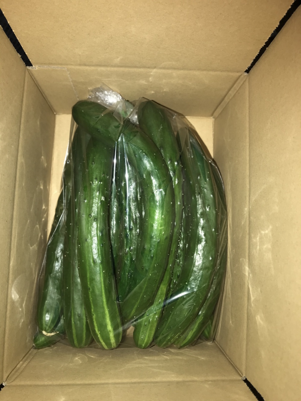 訳あり きゅうりb品 規格外 配達指定日不可のお買い得価格 農家漁師から産地直送の通販 ポケットマルシェ