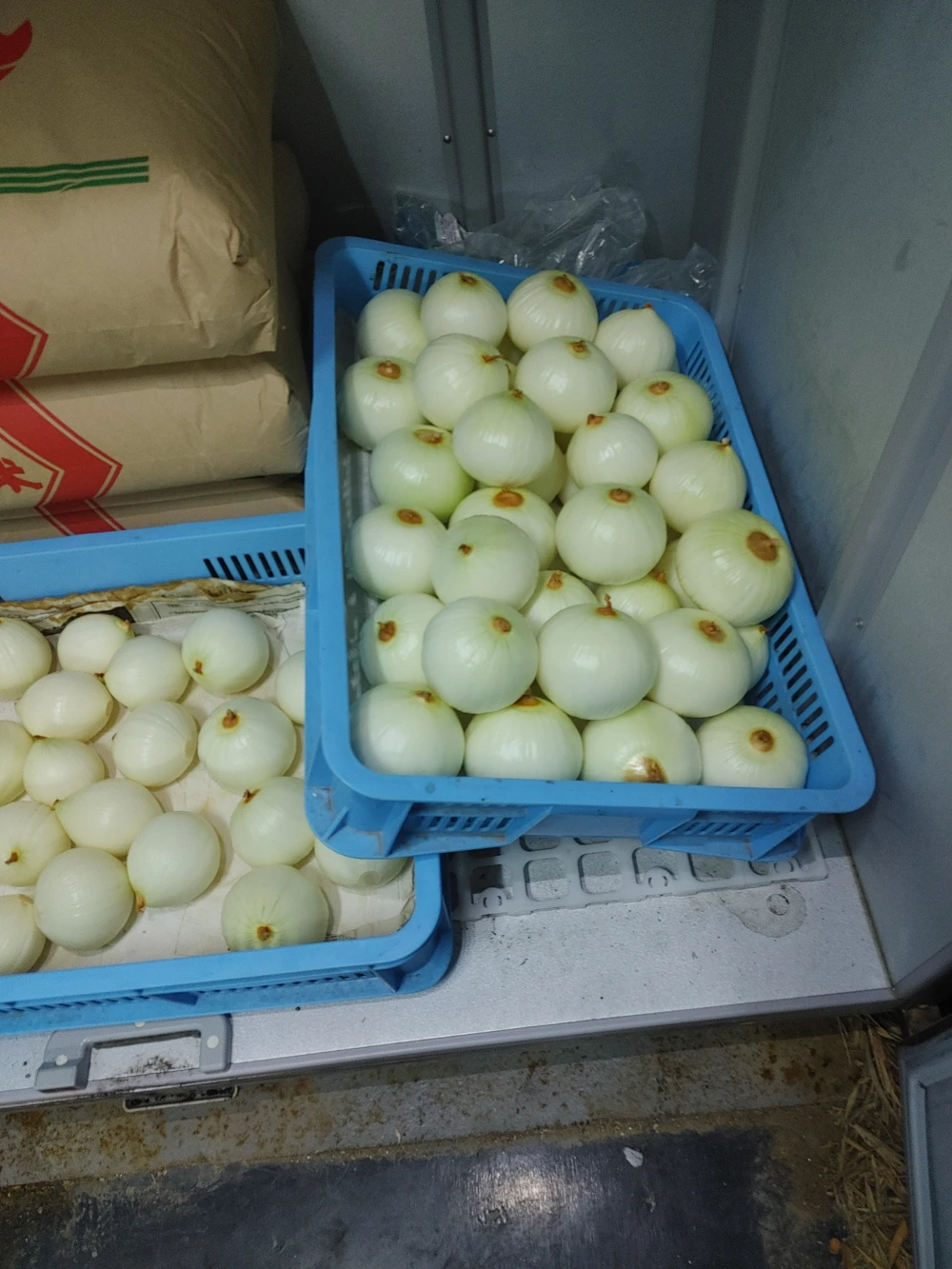 玄米きぬ光、むき玉ねぎターザンセット