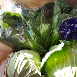 やみつきになる「とくみつ」キャベツ2個と葉野菜2袋のセット