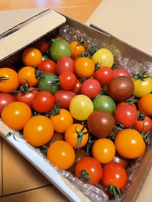 みんなの投稿の画像