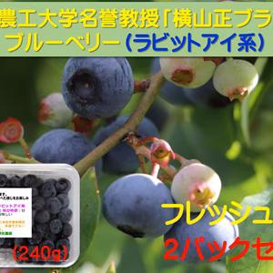 東京農工大学名誉教授「横山正ブランド」ブルーベリー：ラビットアイ果実詰め合わせ