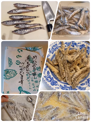 みんなの投稿の画像