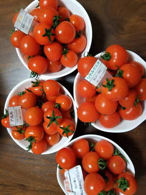 みんなの投稿の画像