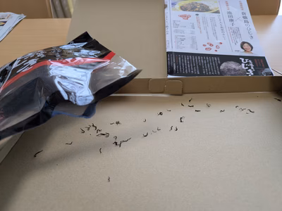 みんなの投稿の画像