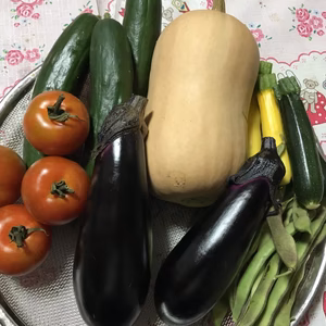 朝採れ！高知の野菜セット(^_^)80サイズ 好きなのを選んでね！