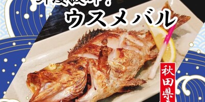 【スタッフ注目の新着商品3/1】春告魚🌸ウスメバル🐟、なまらうまい🍚米2品種入りの悪魔ブレンド🌾など