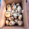 【鹿児島産】甘塩新玉ねぎ3キロ^_^
