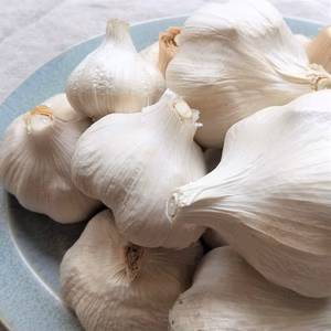 【有機JAS認証】にんにく 1kg 南アルプスの有機野菜